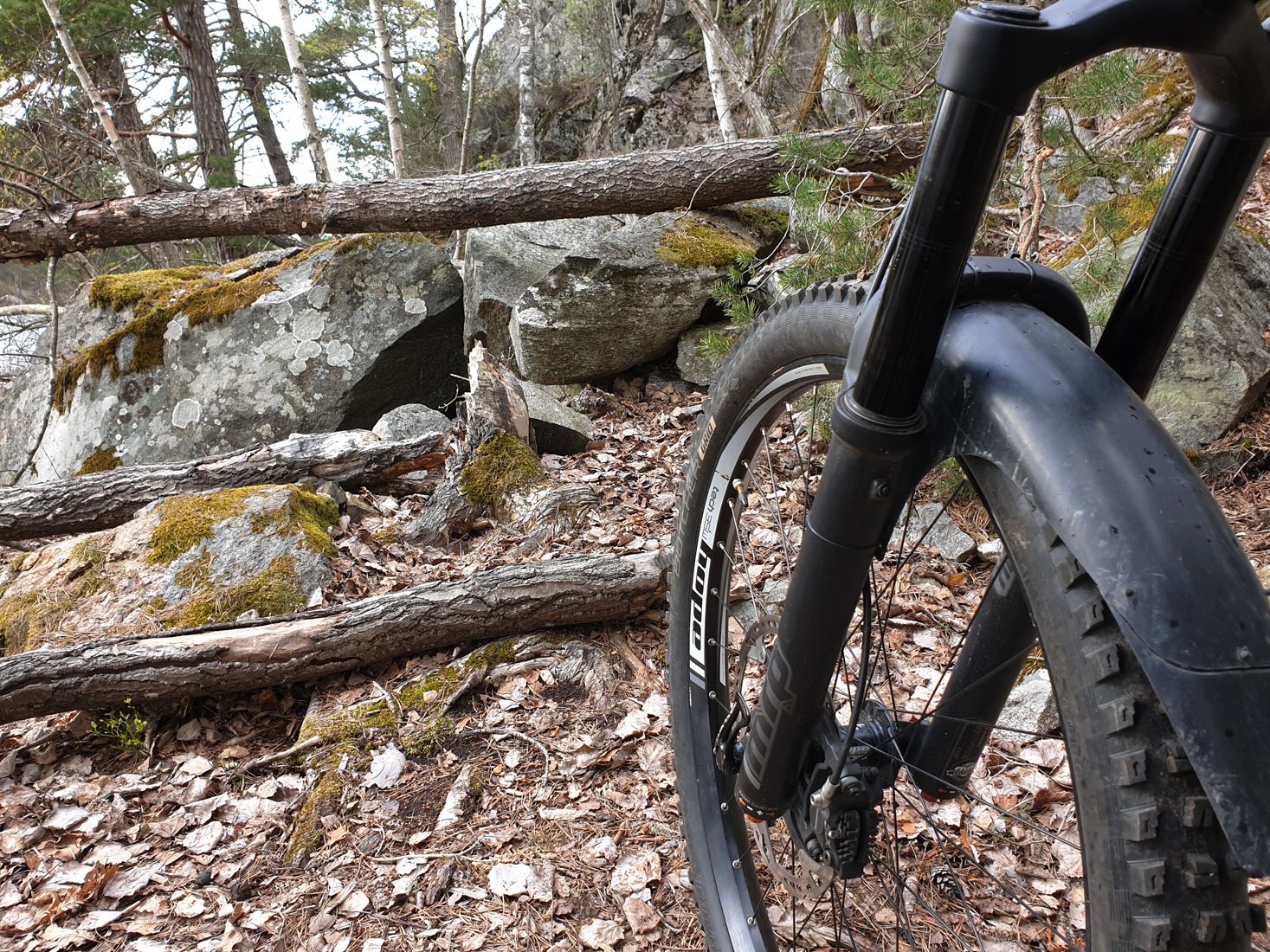 20190505_173232_2.jpg