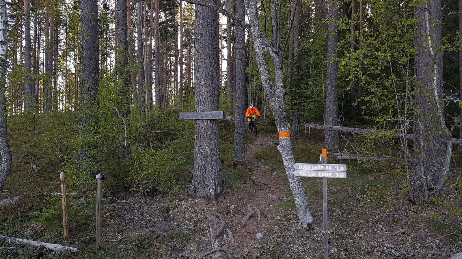 20190508_192038.jpg