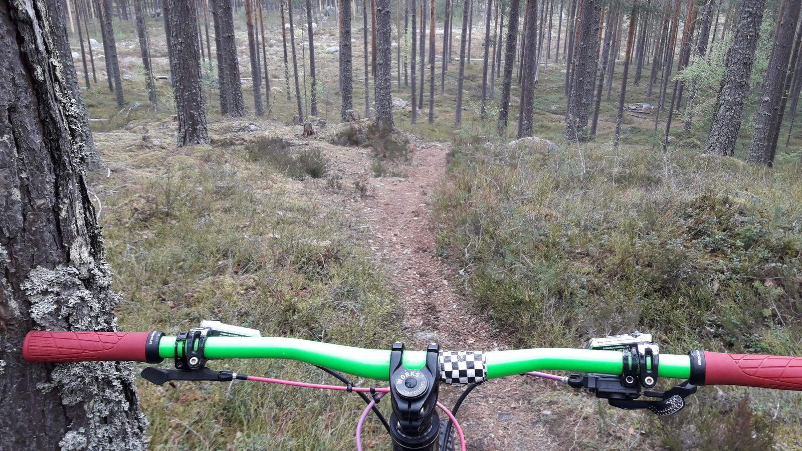 20190511_120038.jpg