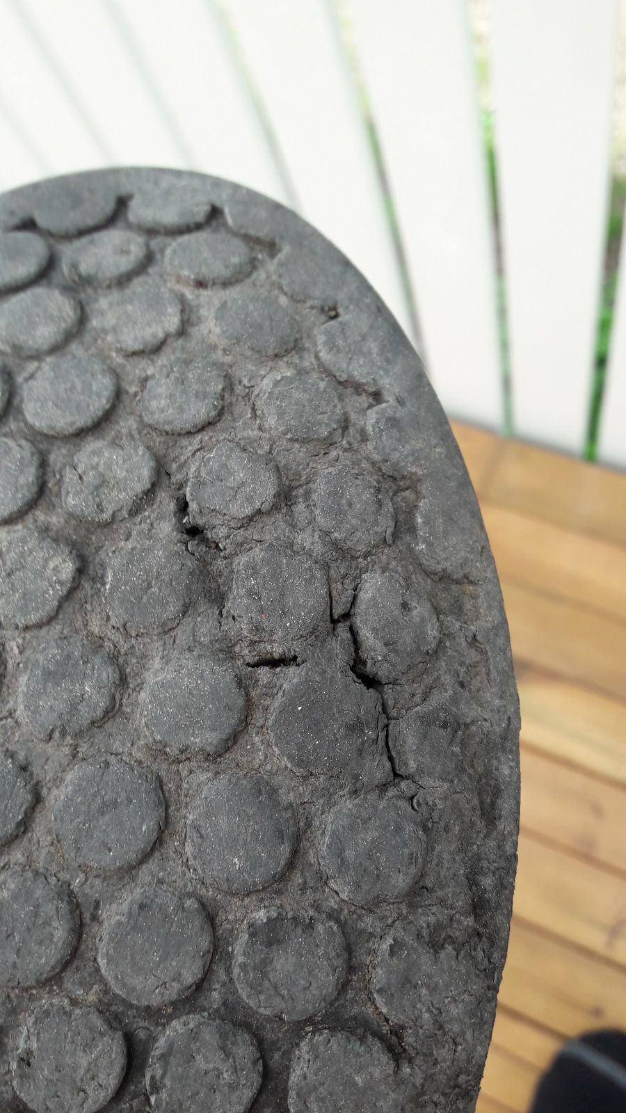 20190512_1242010.jpg