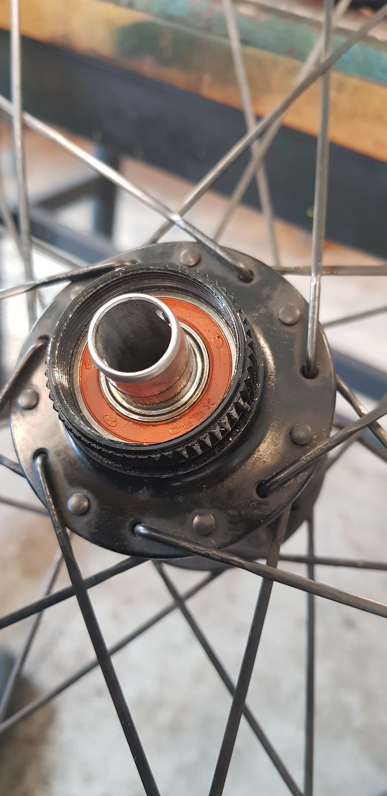 20190514_135541.jpg