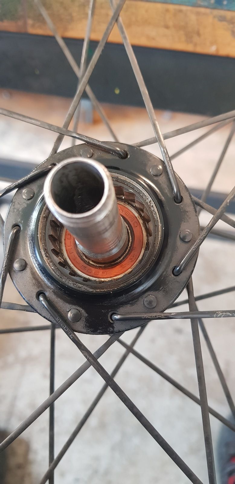 20190514_135549.jpg