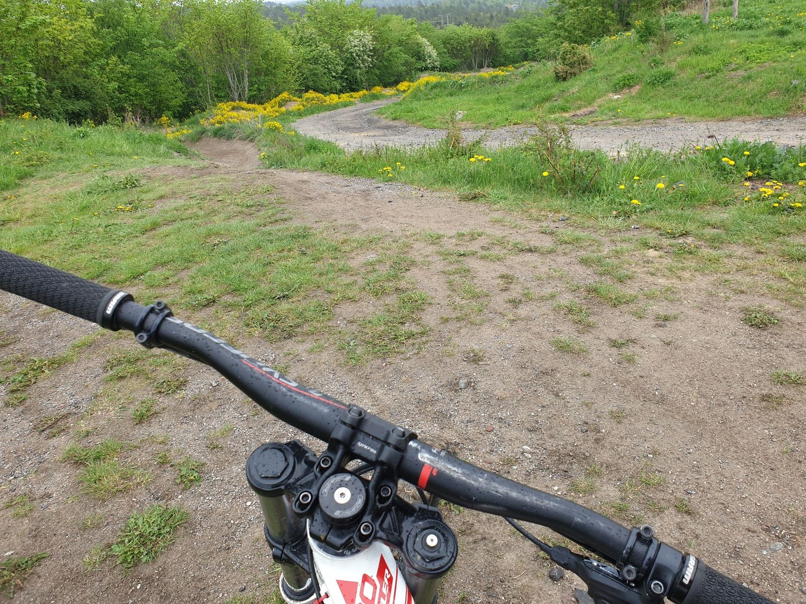 20190519_131547.jpg