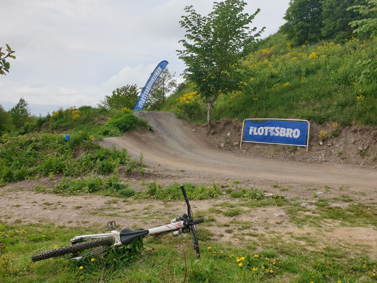 20190519_153723.jpg