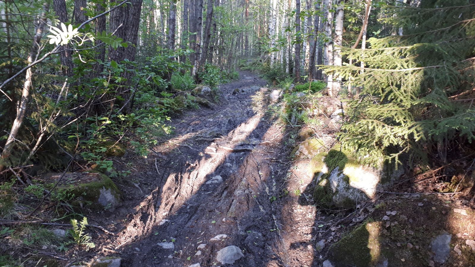 20190529_191958.jpg