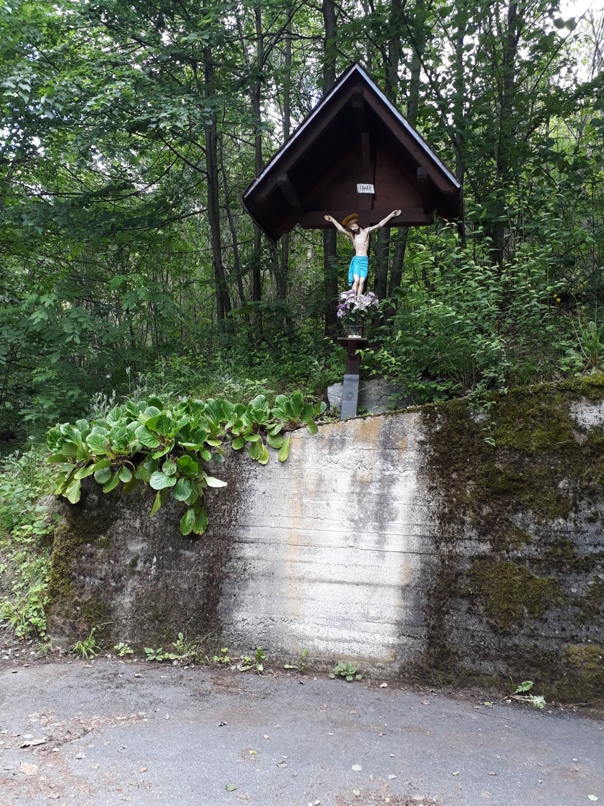 20190530_132434-1600x2133.jpg