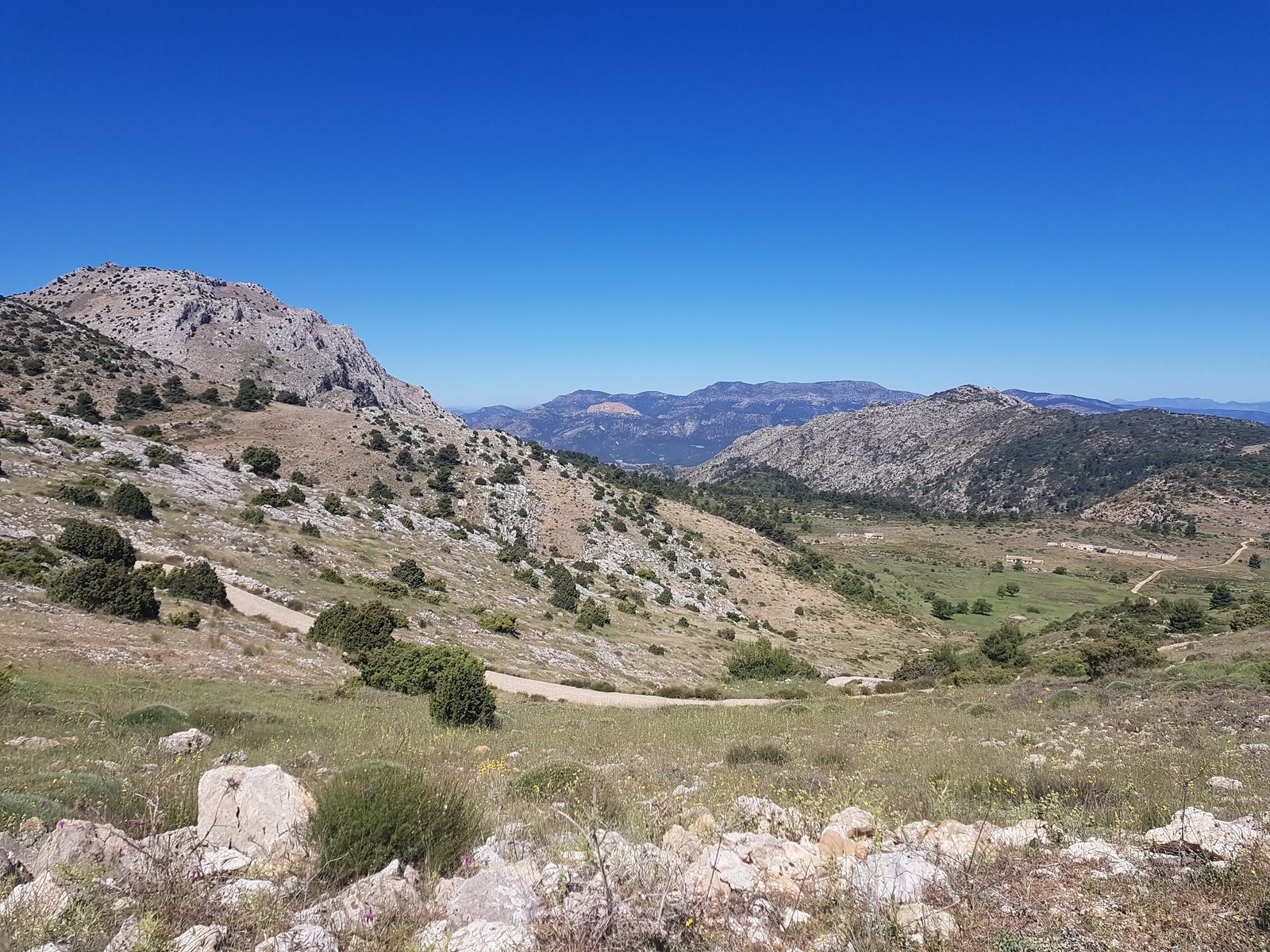 20190601_114127.jpg