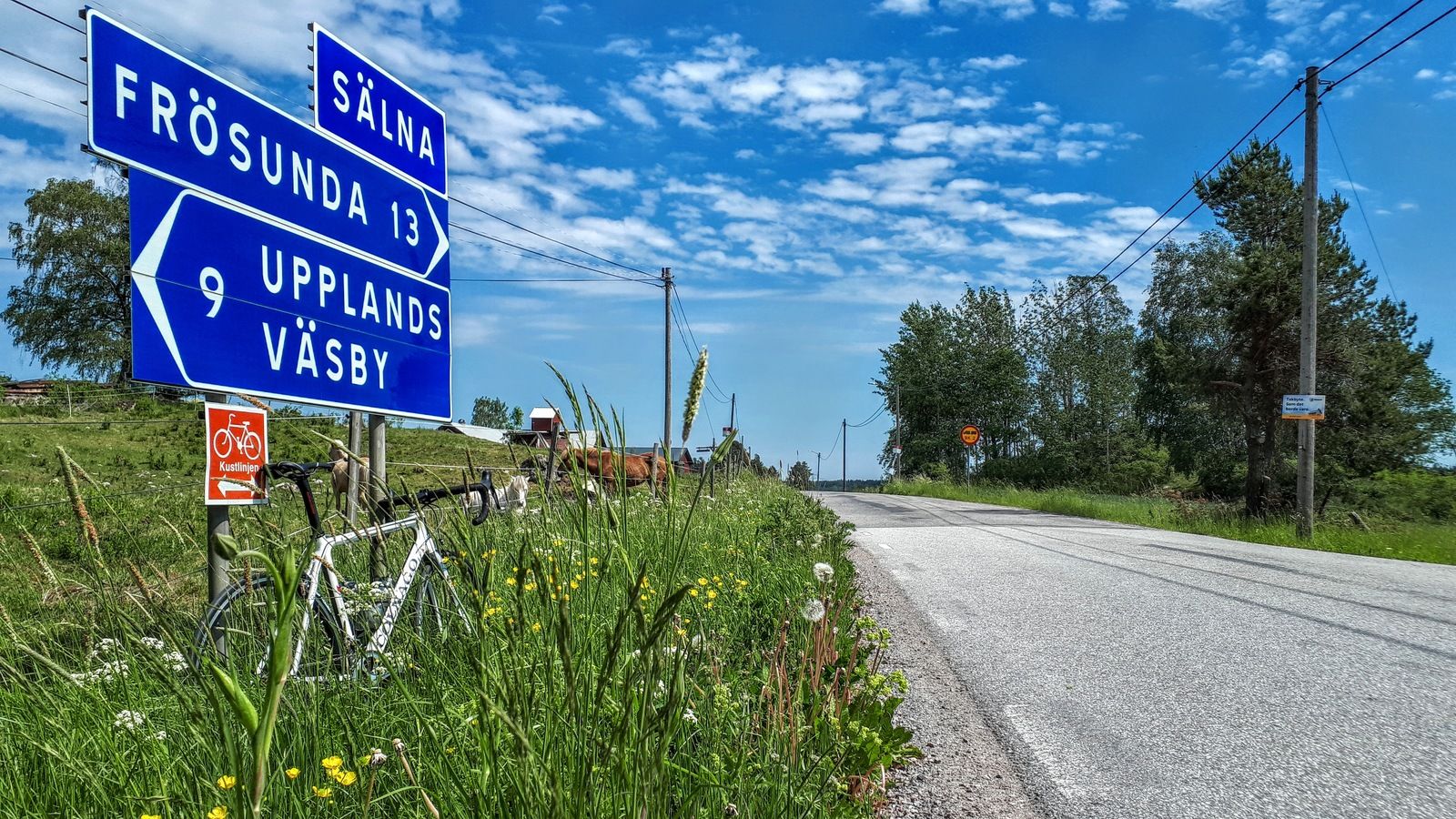 20190607_122116.jpg