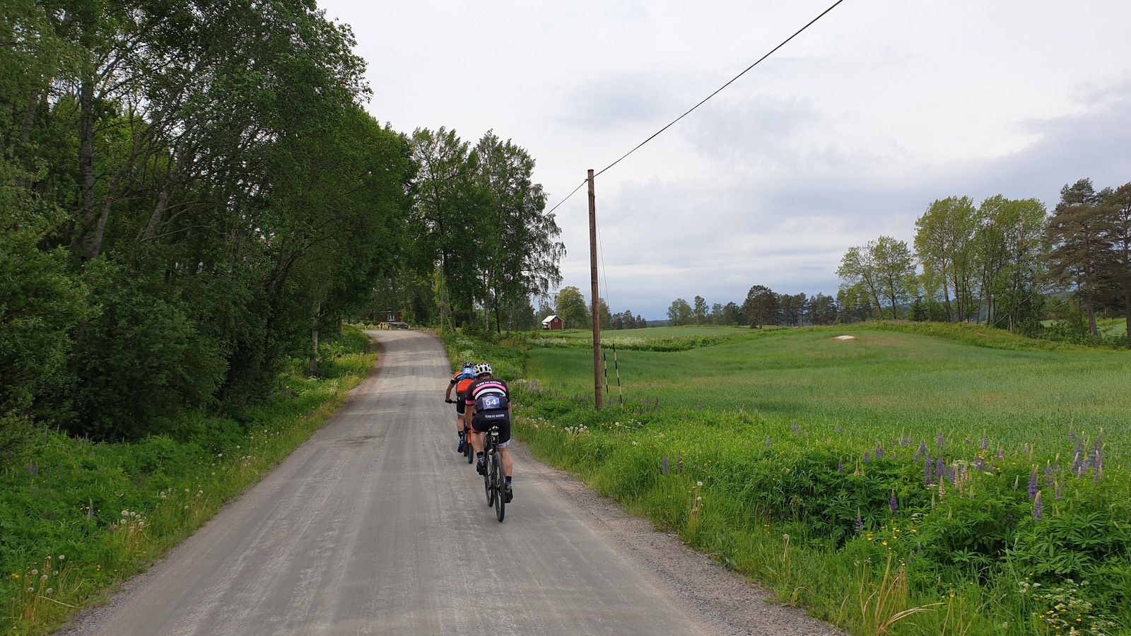 20190608_105847.jpg