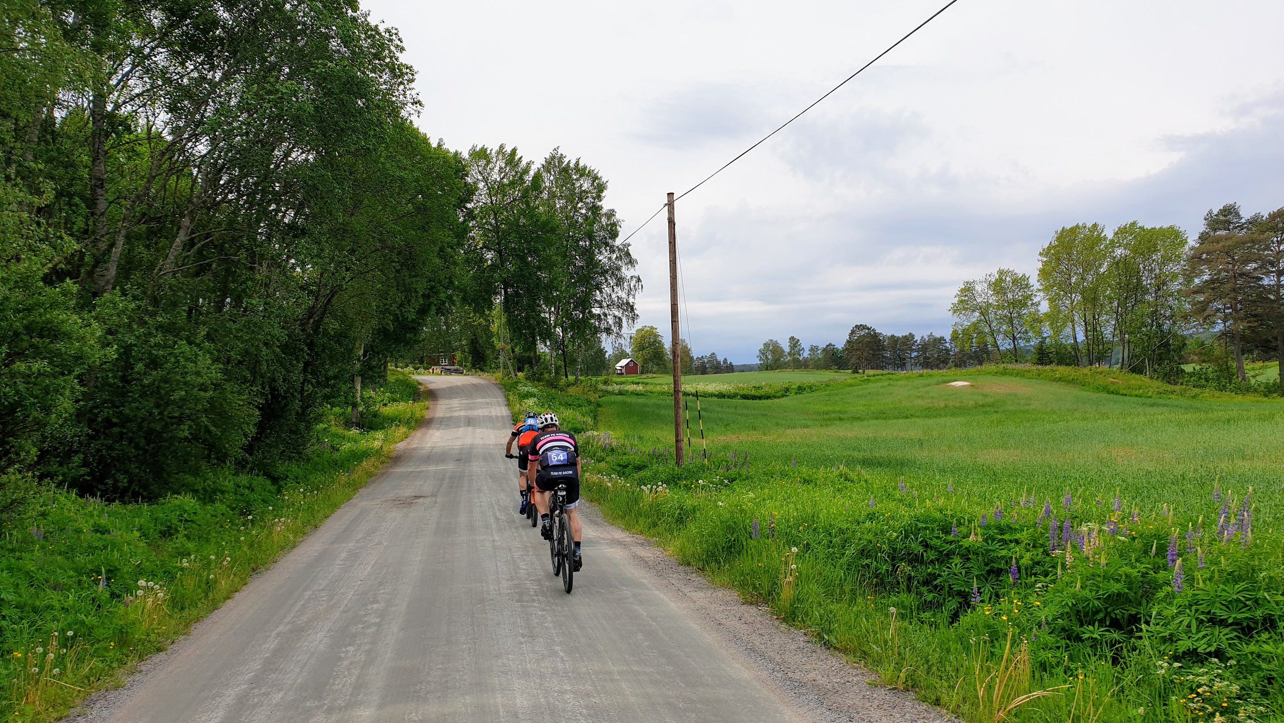 20190608_105847.jpg