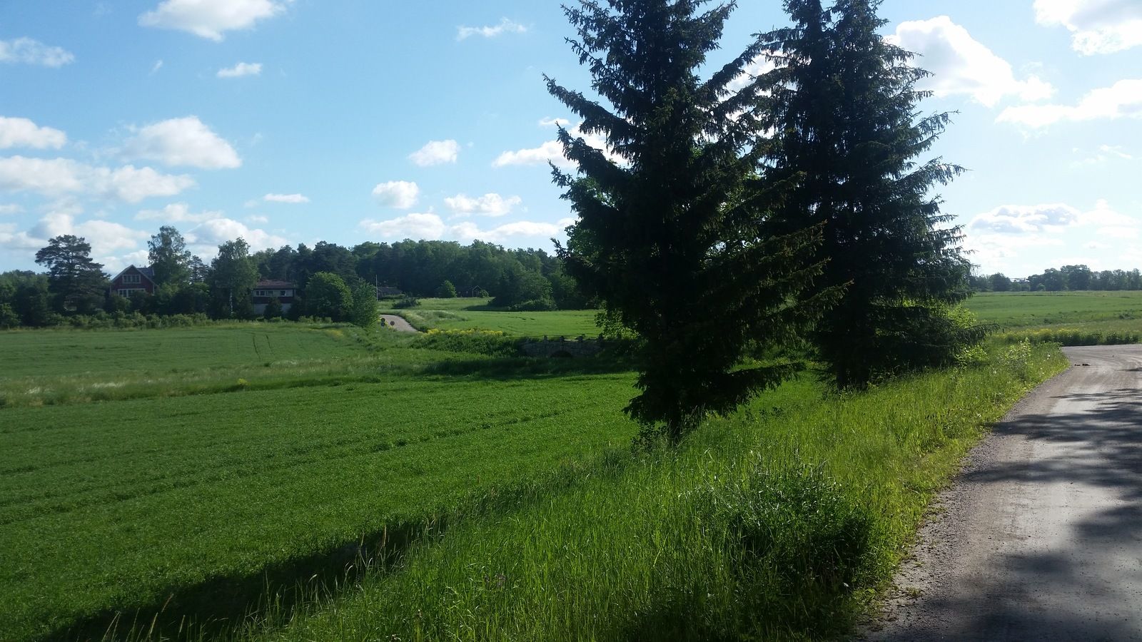 20190609_084014.jpg