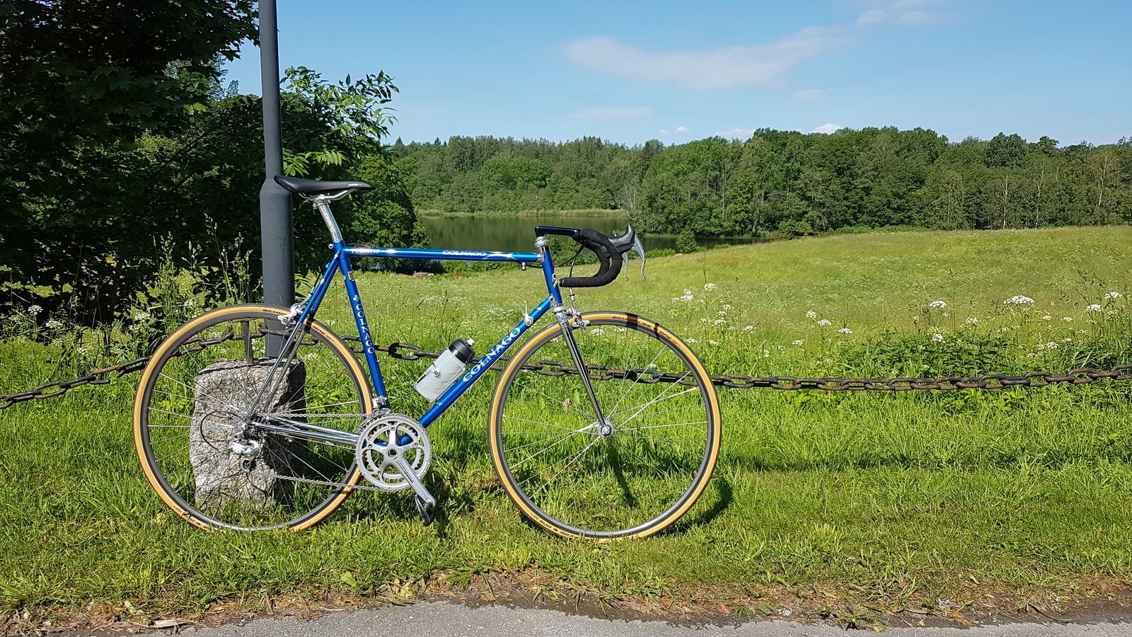 20190615_103106.jpg