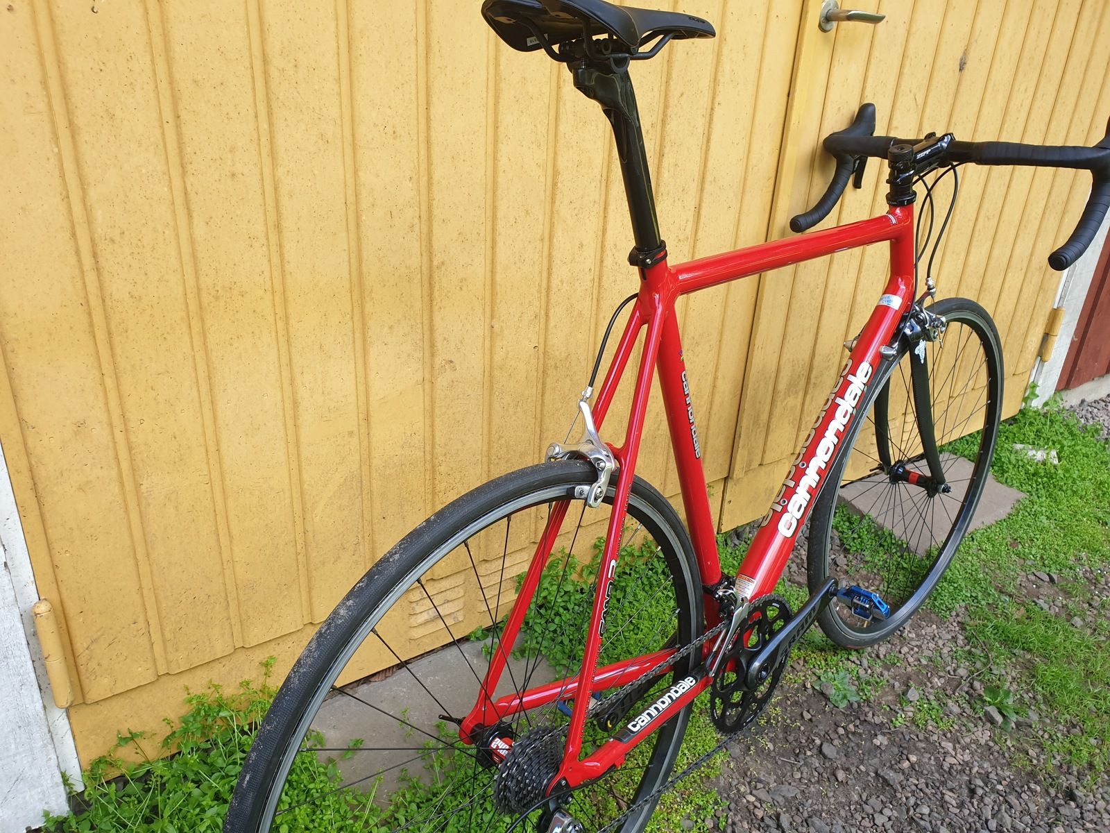 20190617_173230.jpg