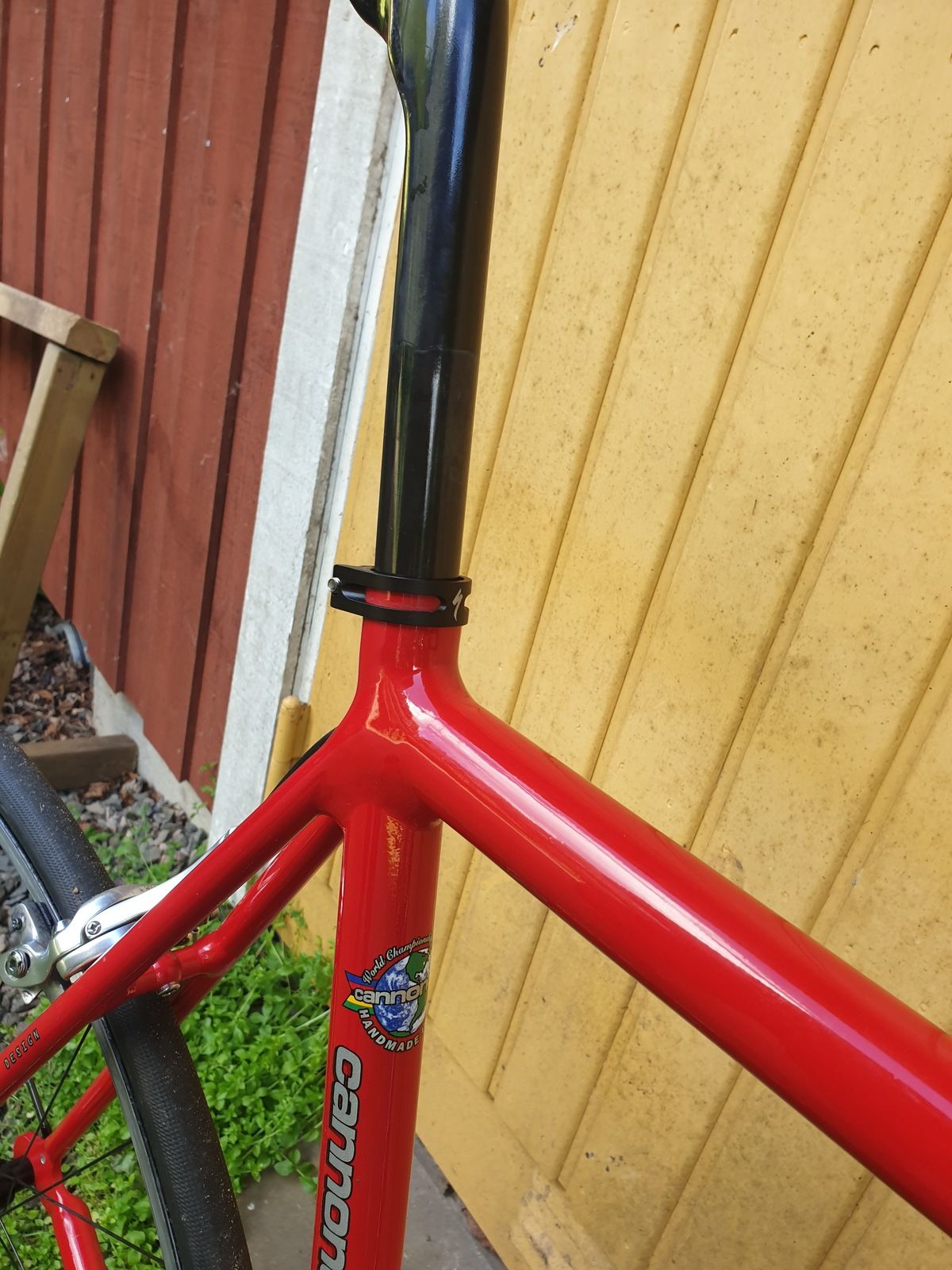 20190617_173242.jpg