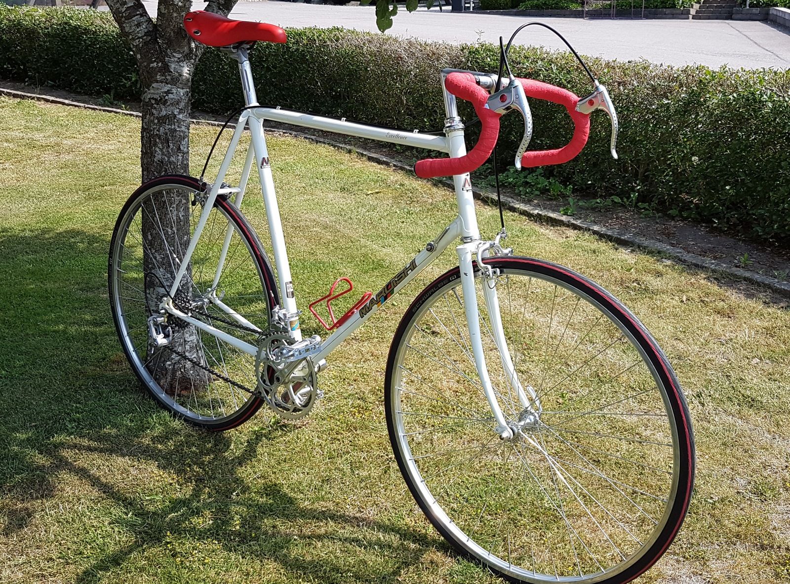 20190626_121745.jpg