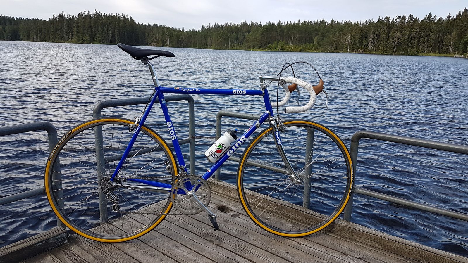 20190629_091153.jpg