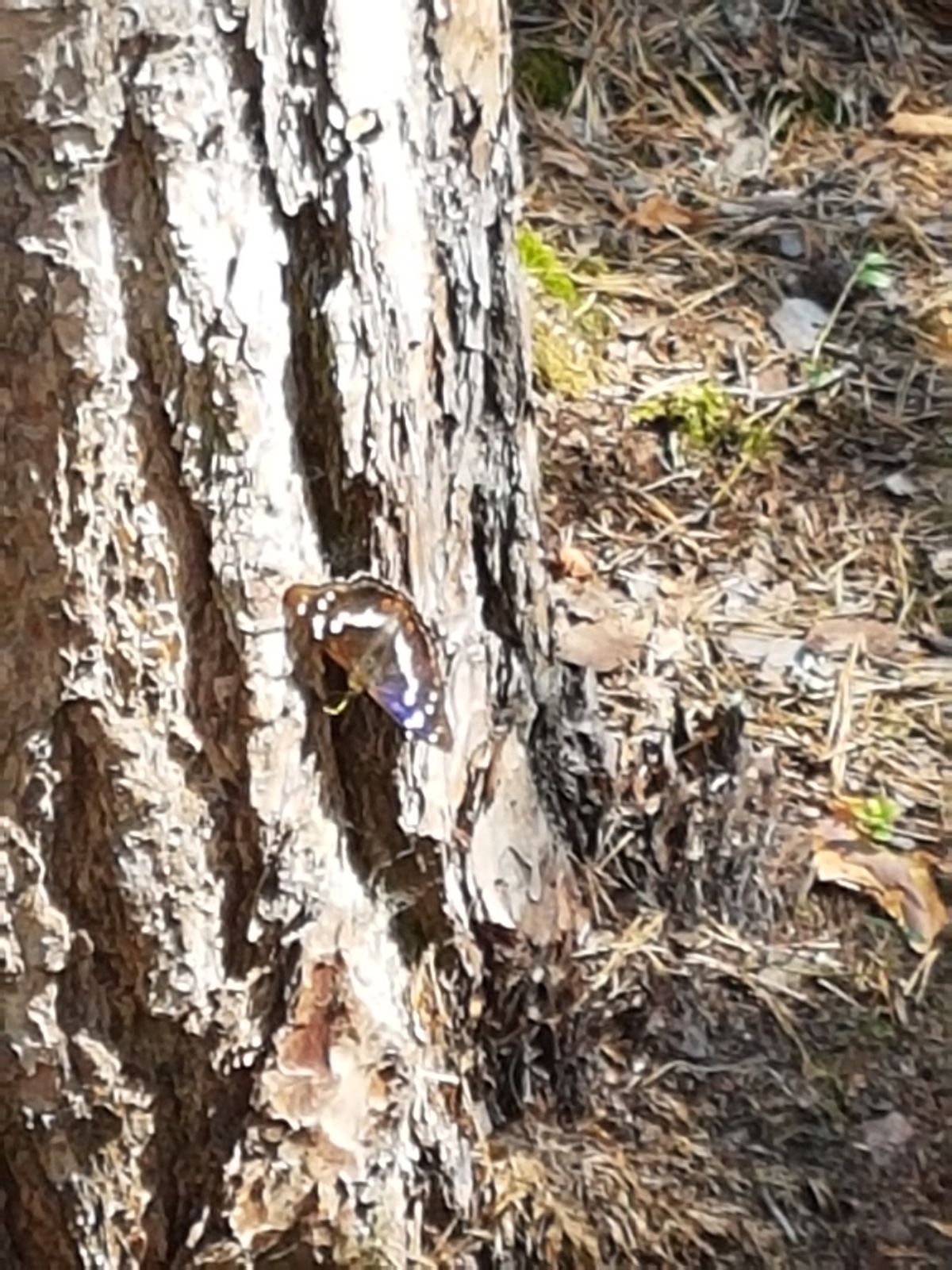 20190714_110328.jpg