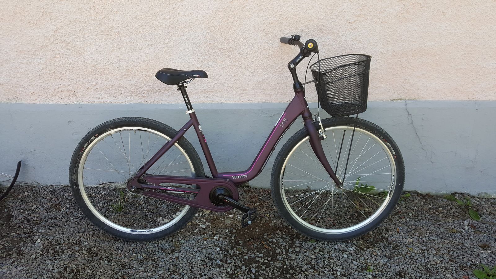 20190719_133042.jpg