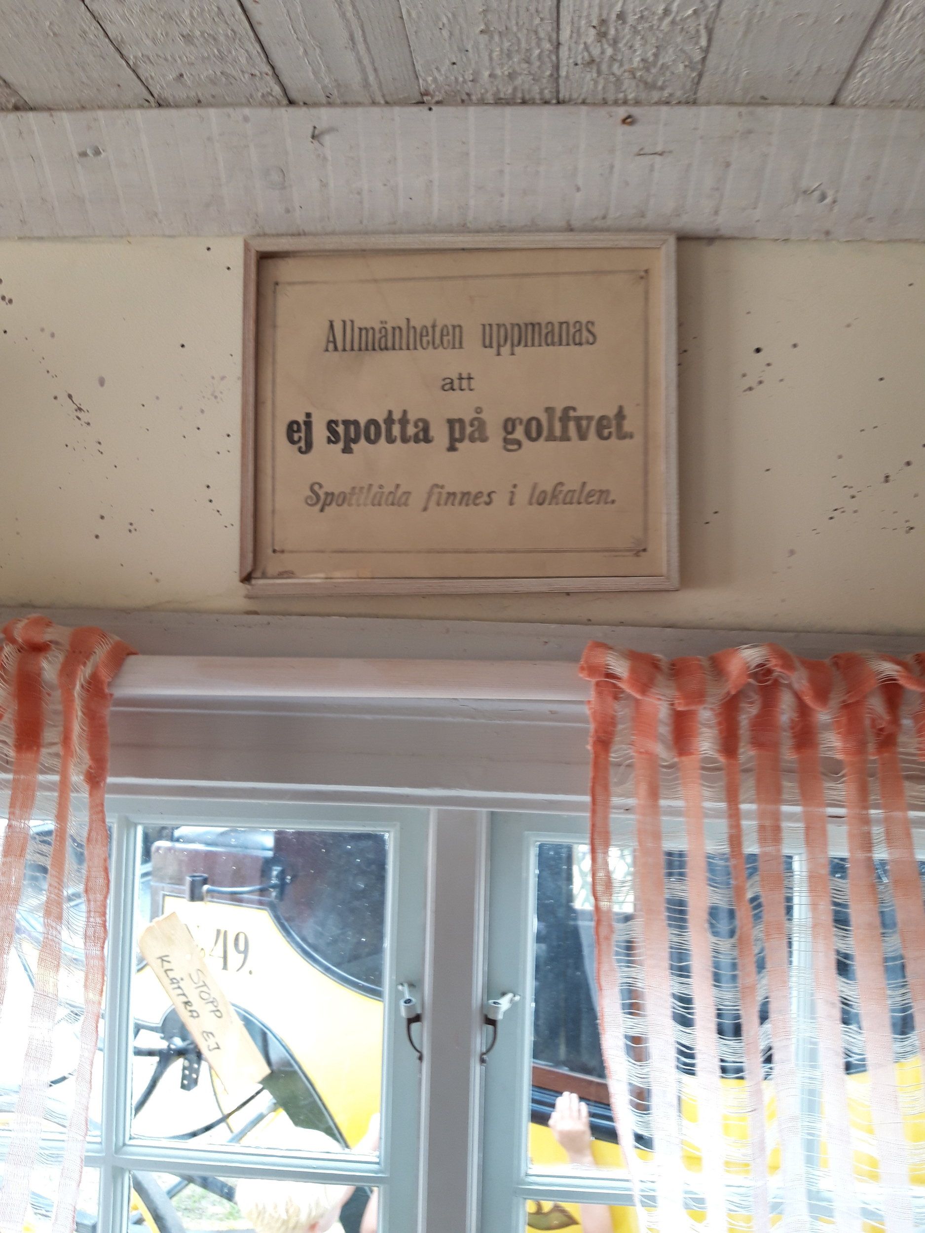 20190727_122201.jpg