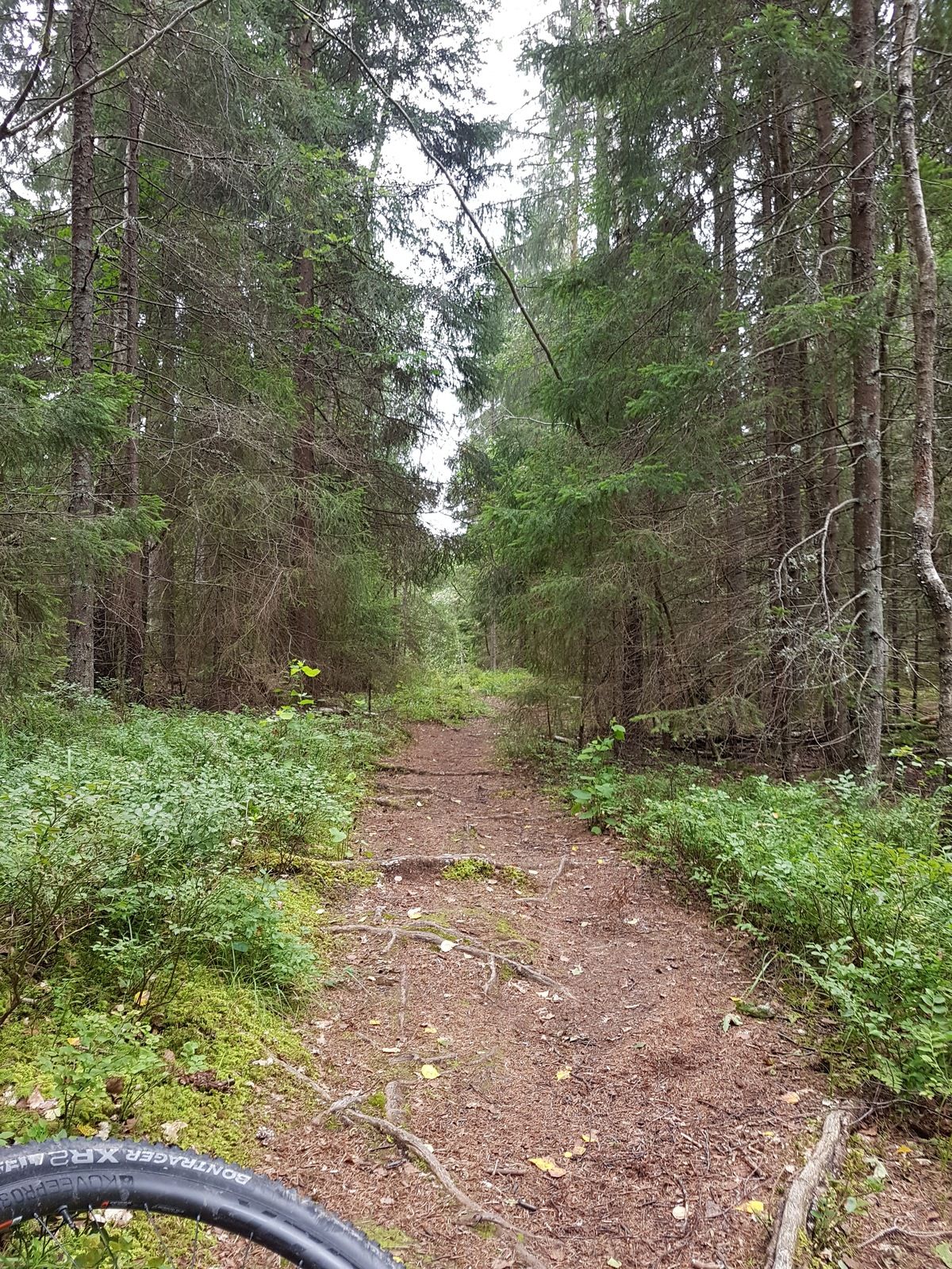 20190810_135836.jpg
