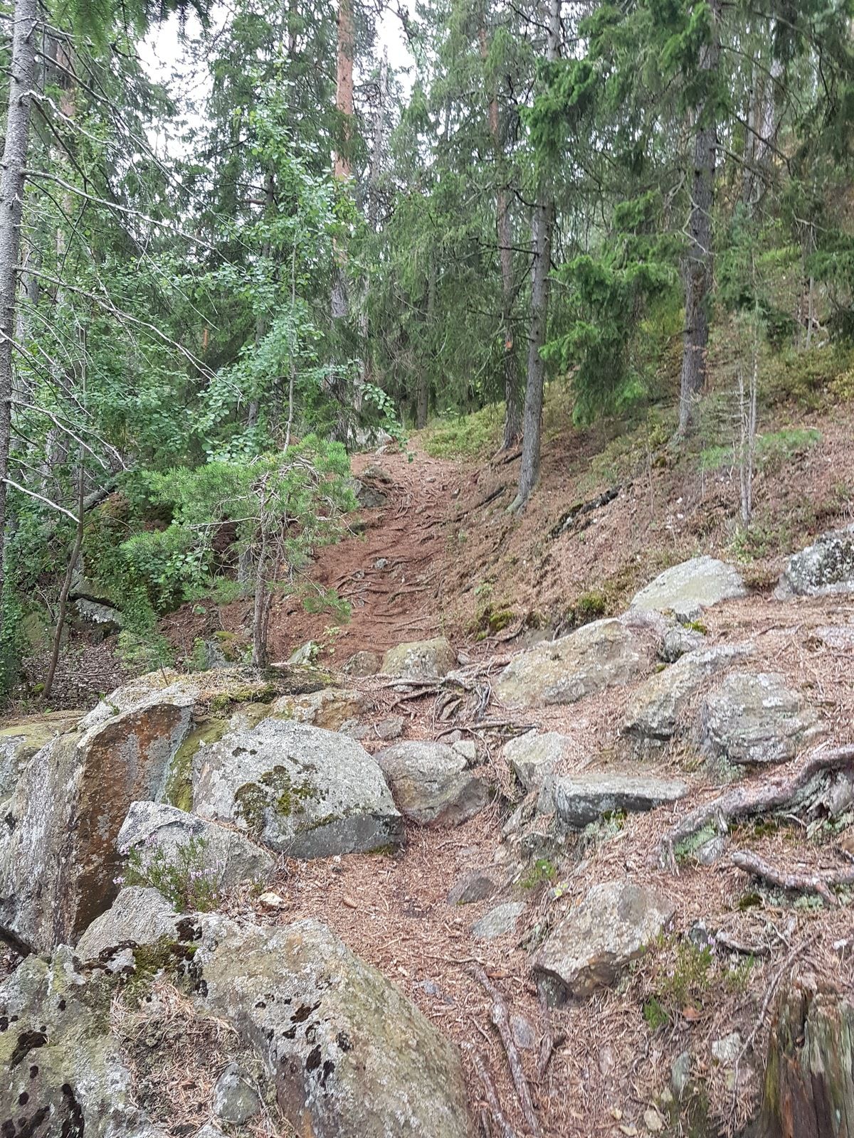 20190810_154238.jpg