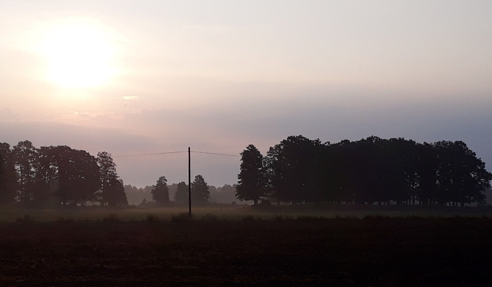 20190829_082108.jpg