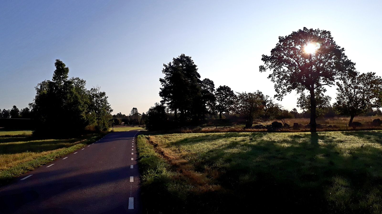20190906_083728.jpg