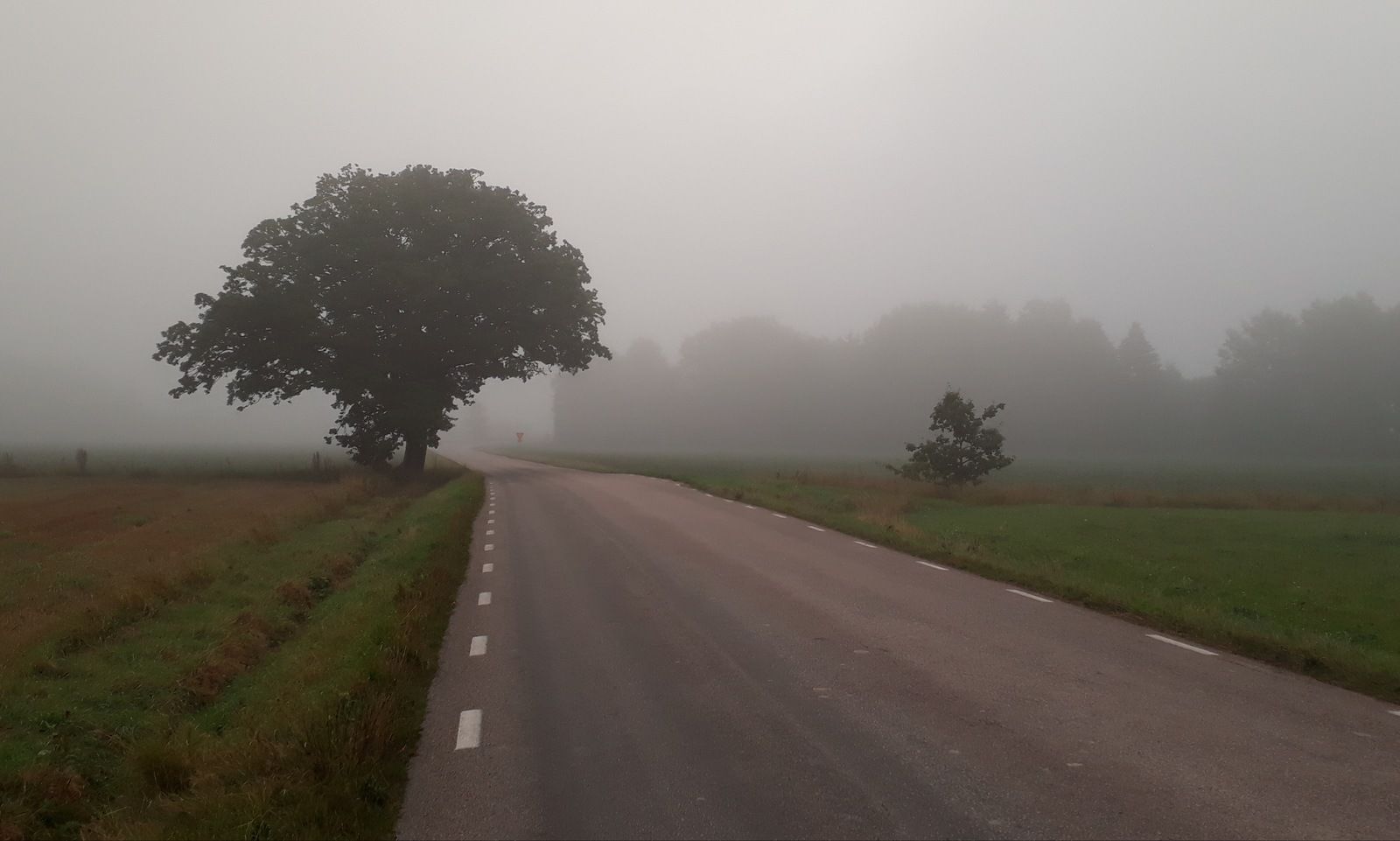 20190911_081334.jpg