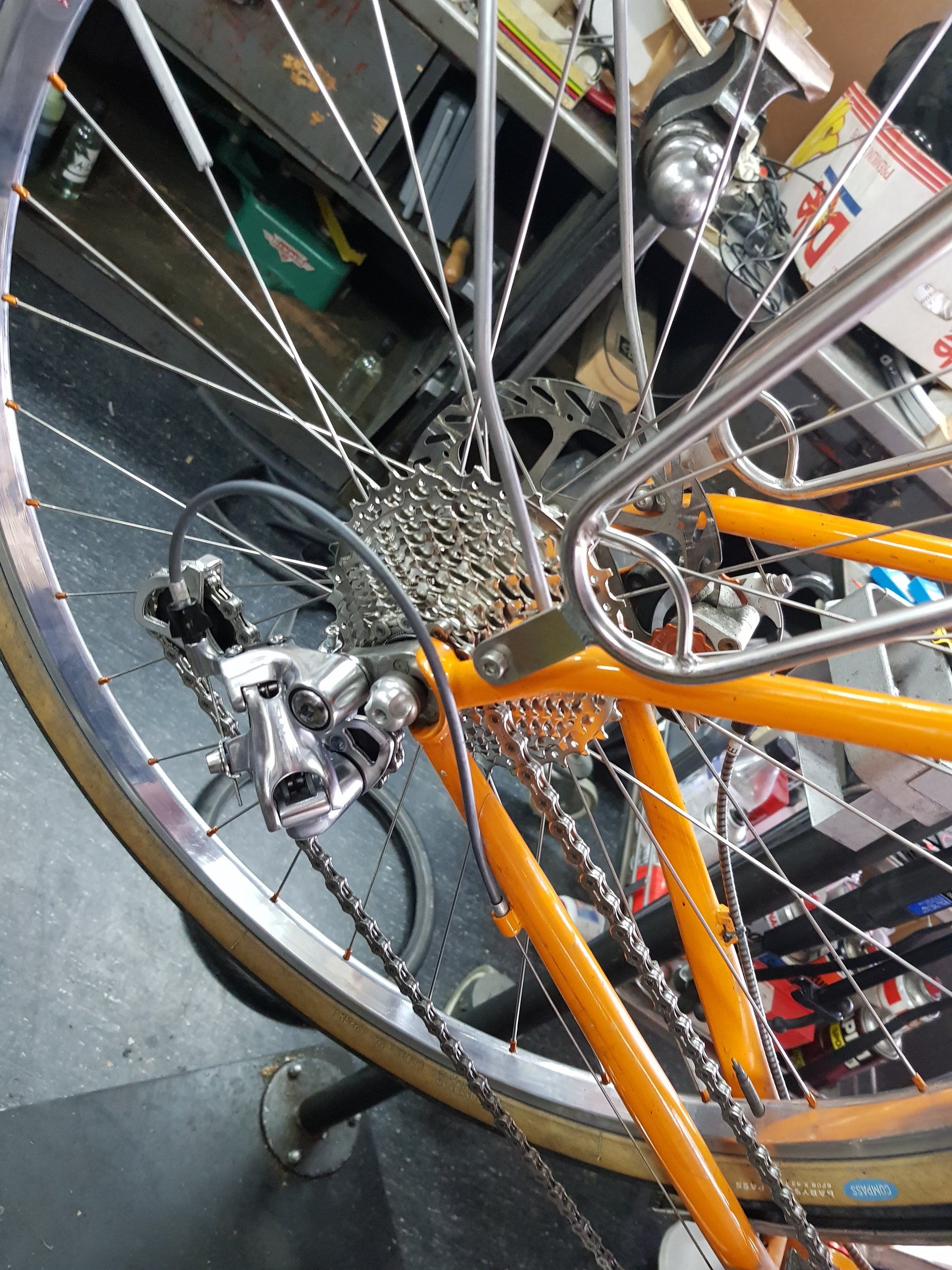 20190912_141237.jpg