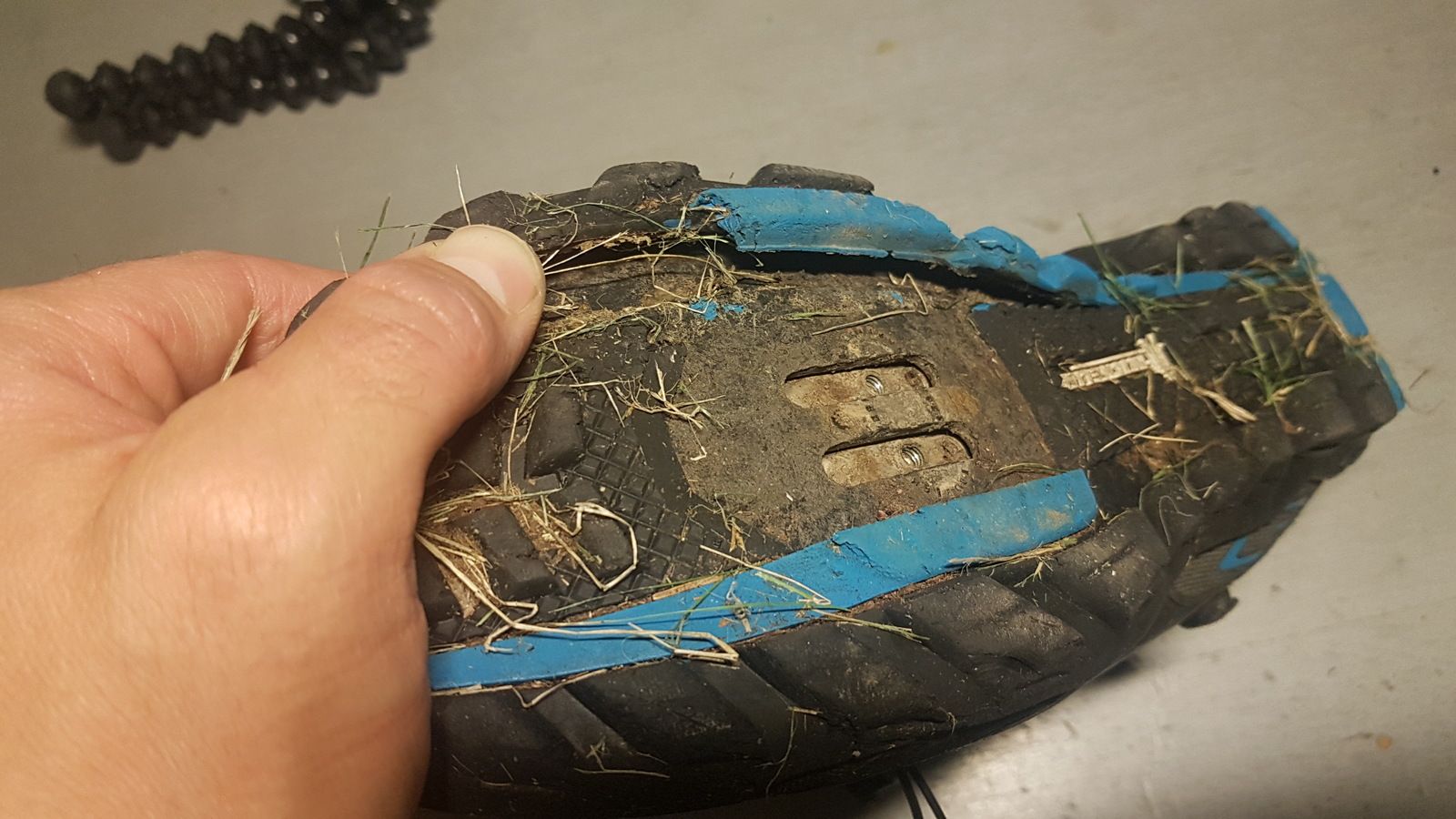 20190913_234601.jpg