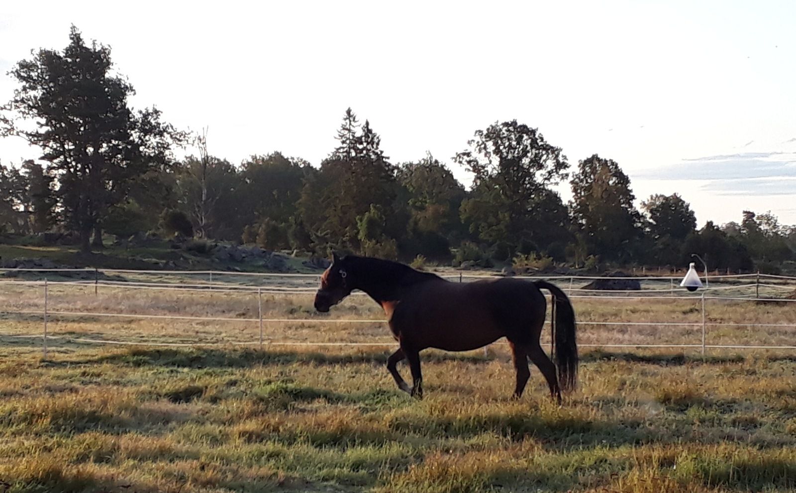 20190917_083119.jpg