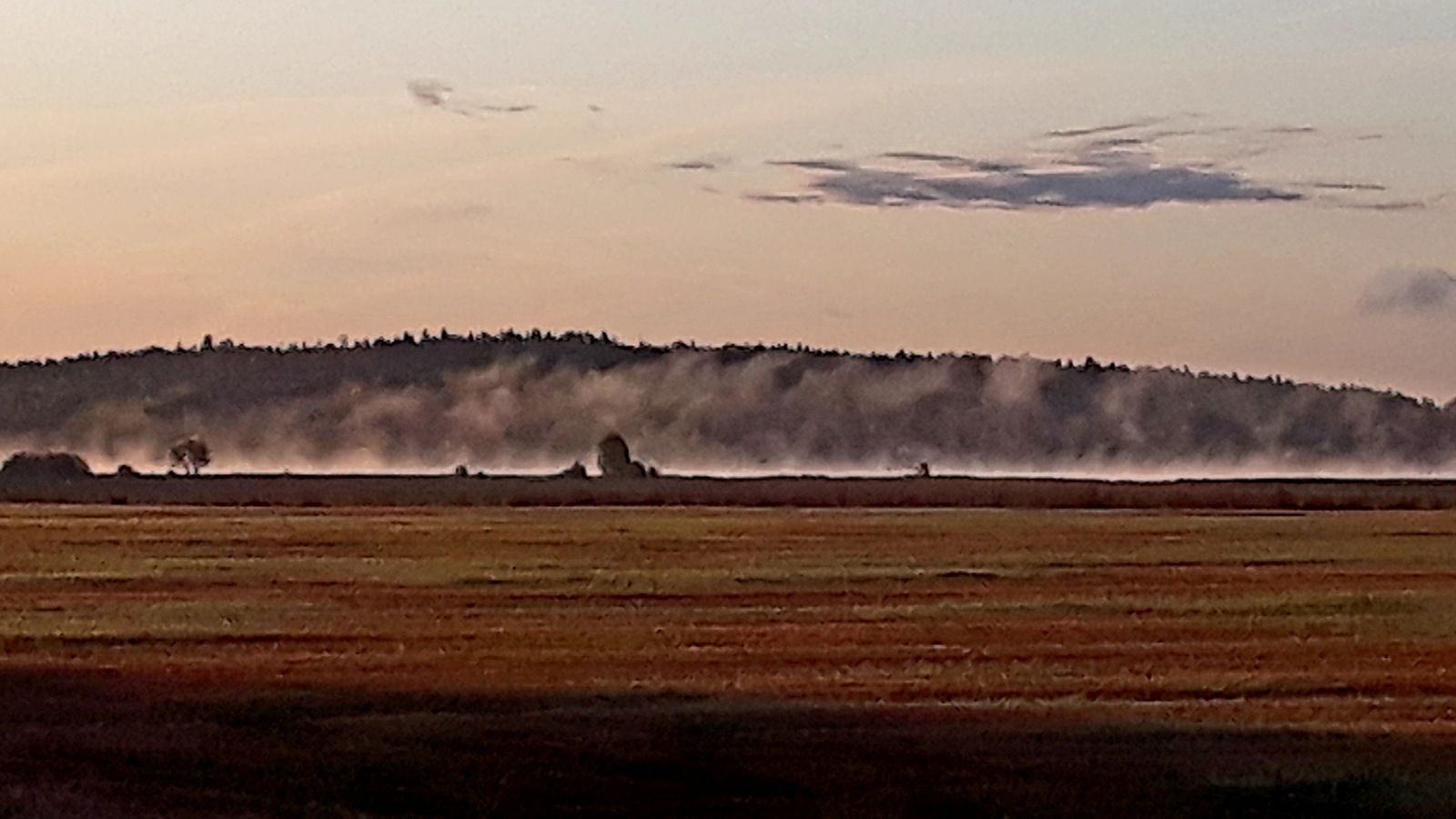 20190923_091610.jpg