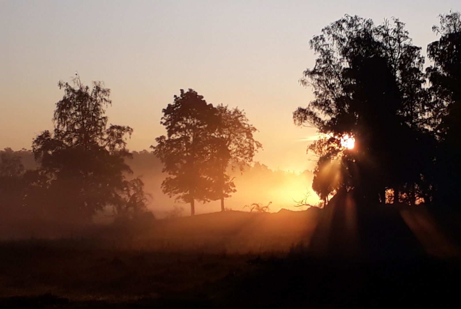 20190927_091159.jpg