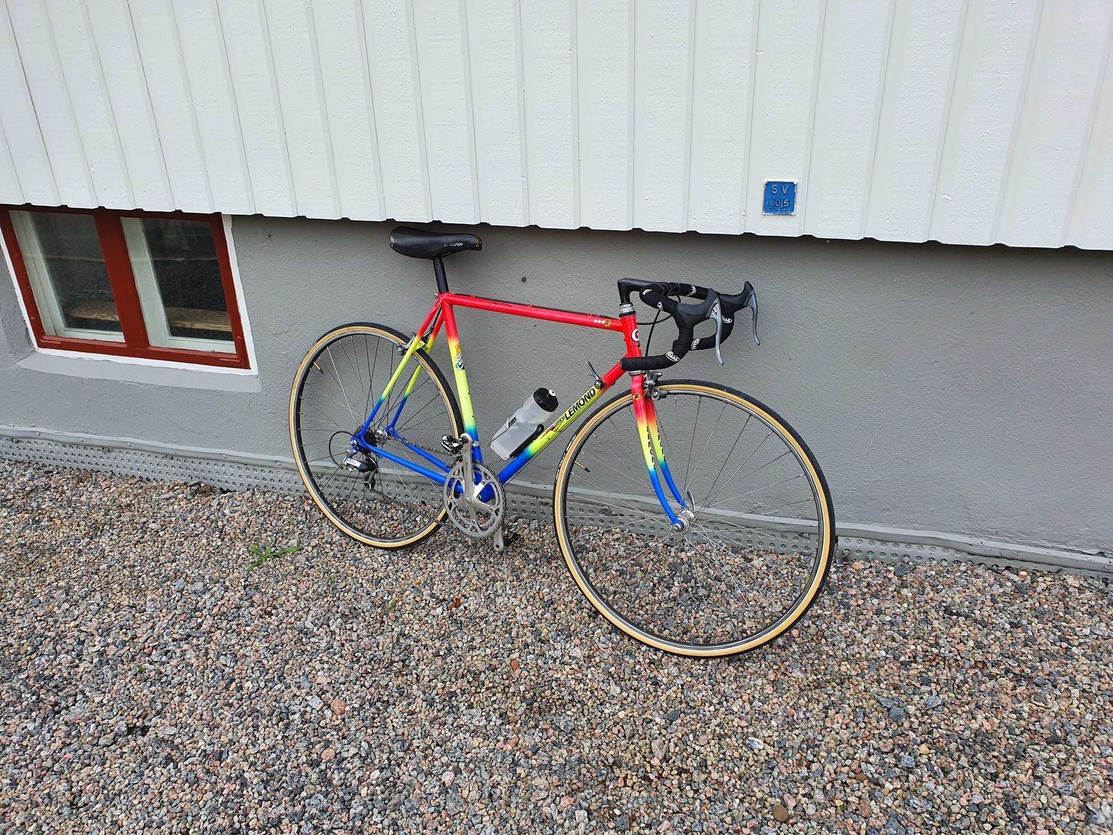 20190928_162037.jpg