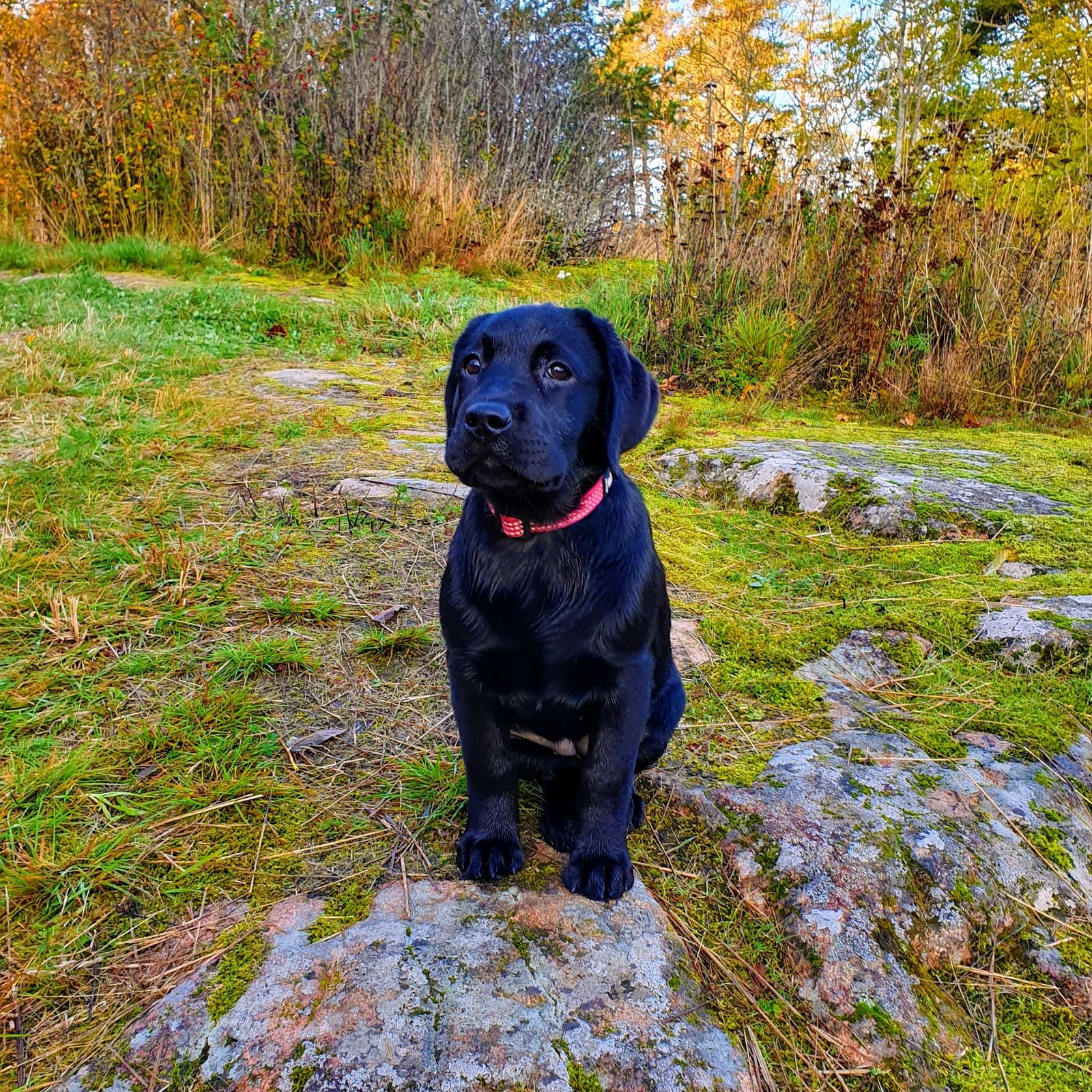 20191005_0809212.jpg