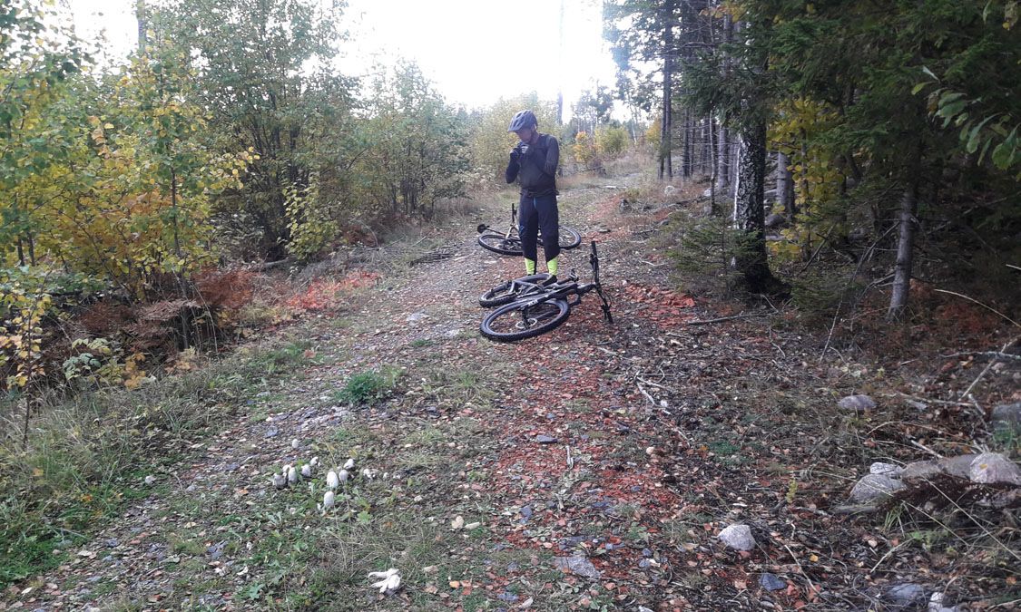 20191005_134005_lw.jpg