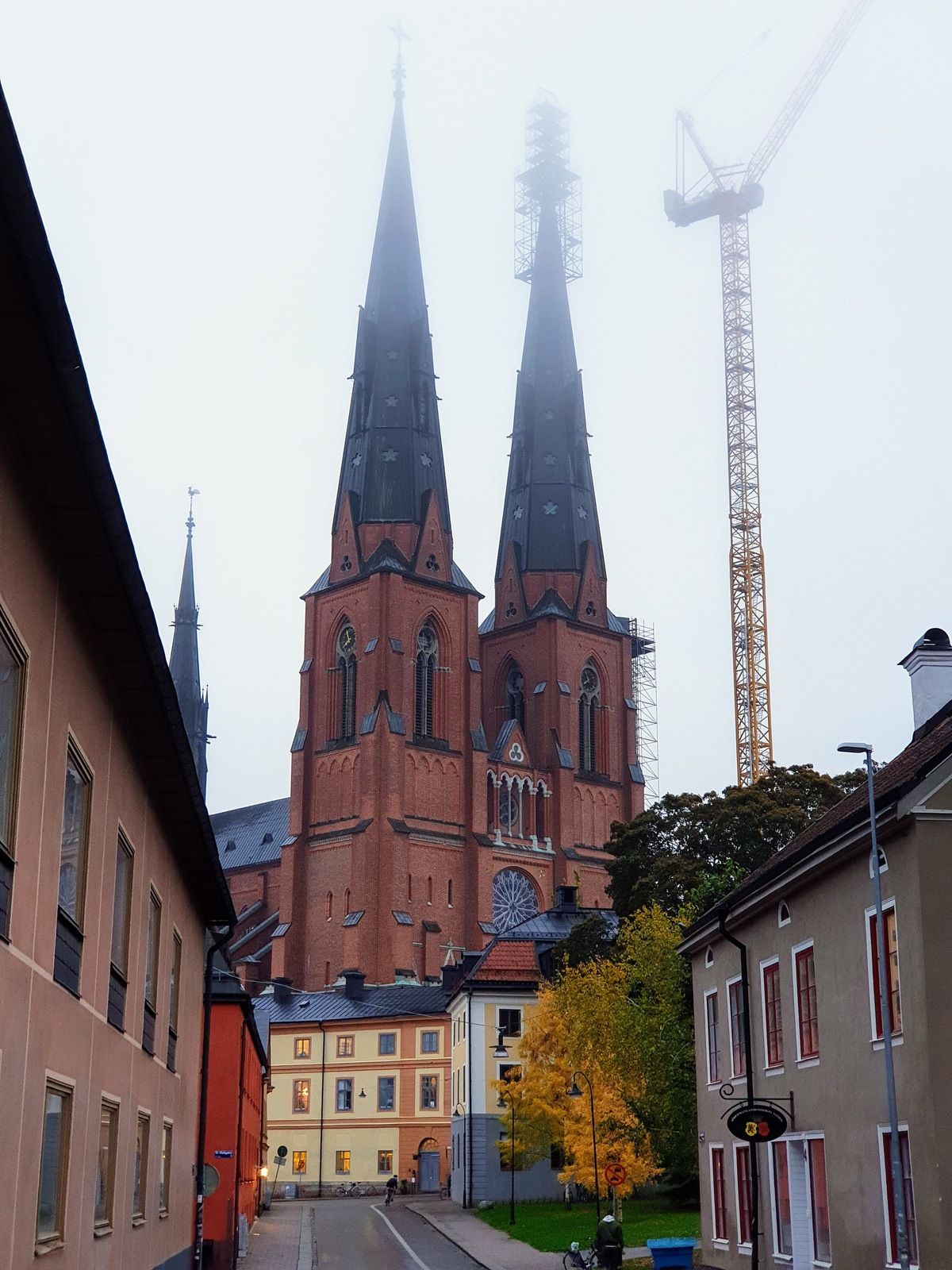 20191016_075812.jpg
