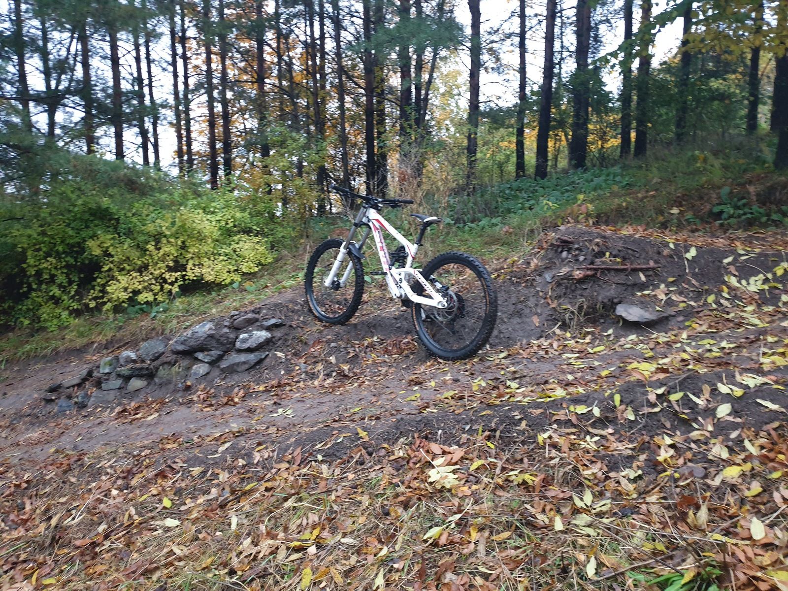 20191016_163718.jpg