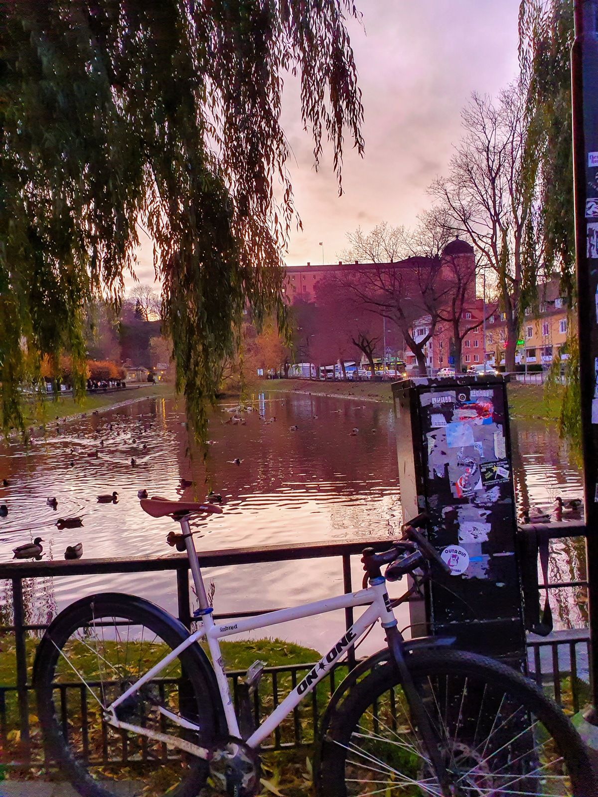 20191029_161958.jpg