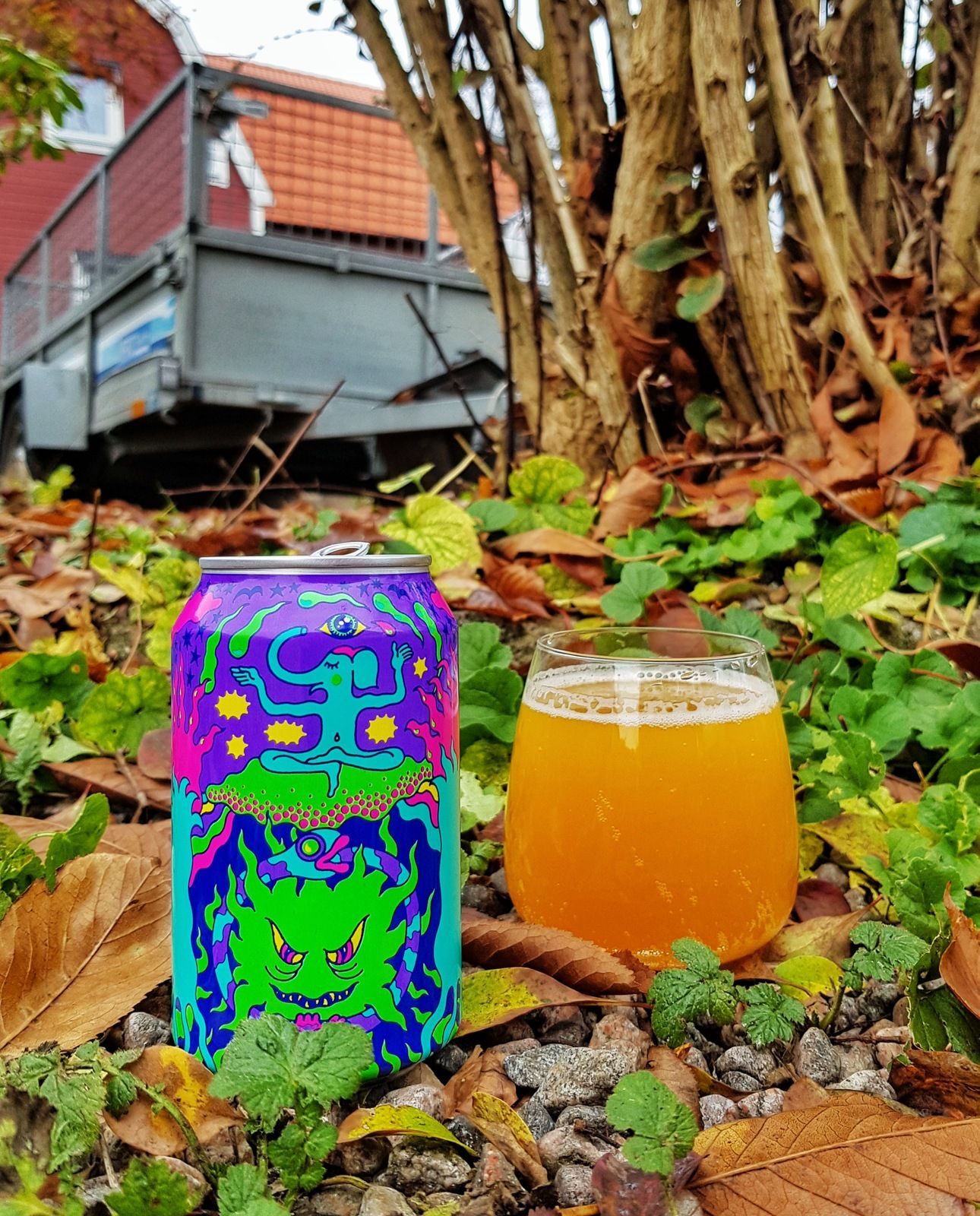 20191103_132404-01.jpeg