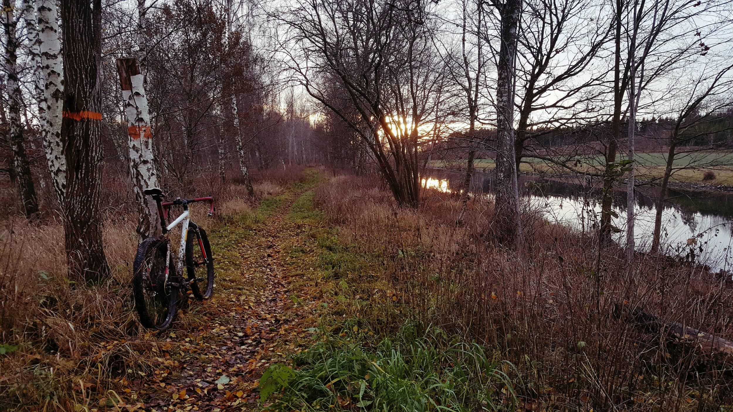 20191120_142617.jpg