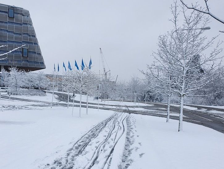 20191129_091x_BC.jpg
