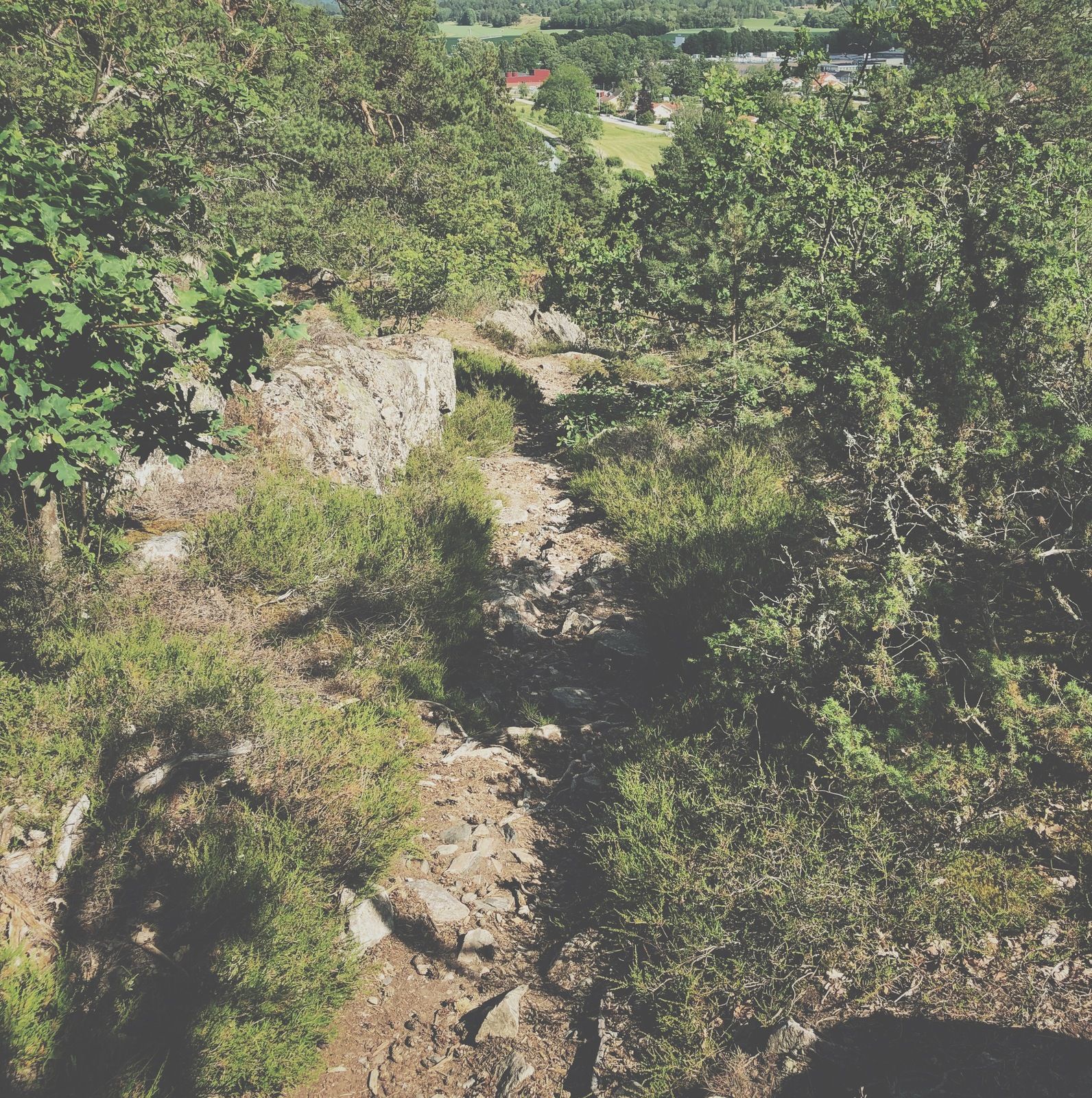 2019_06_28_Ramunderberget_1.JPG
