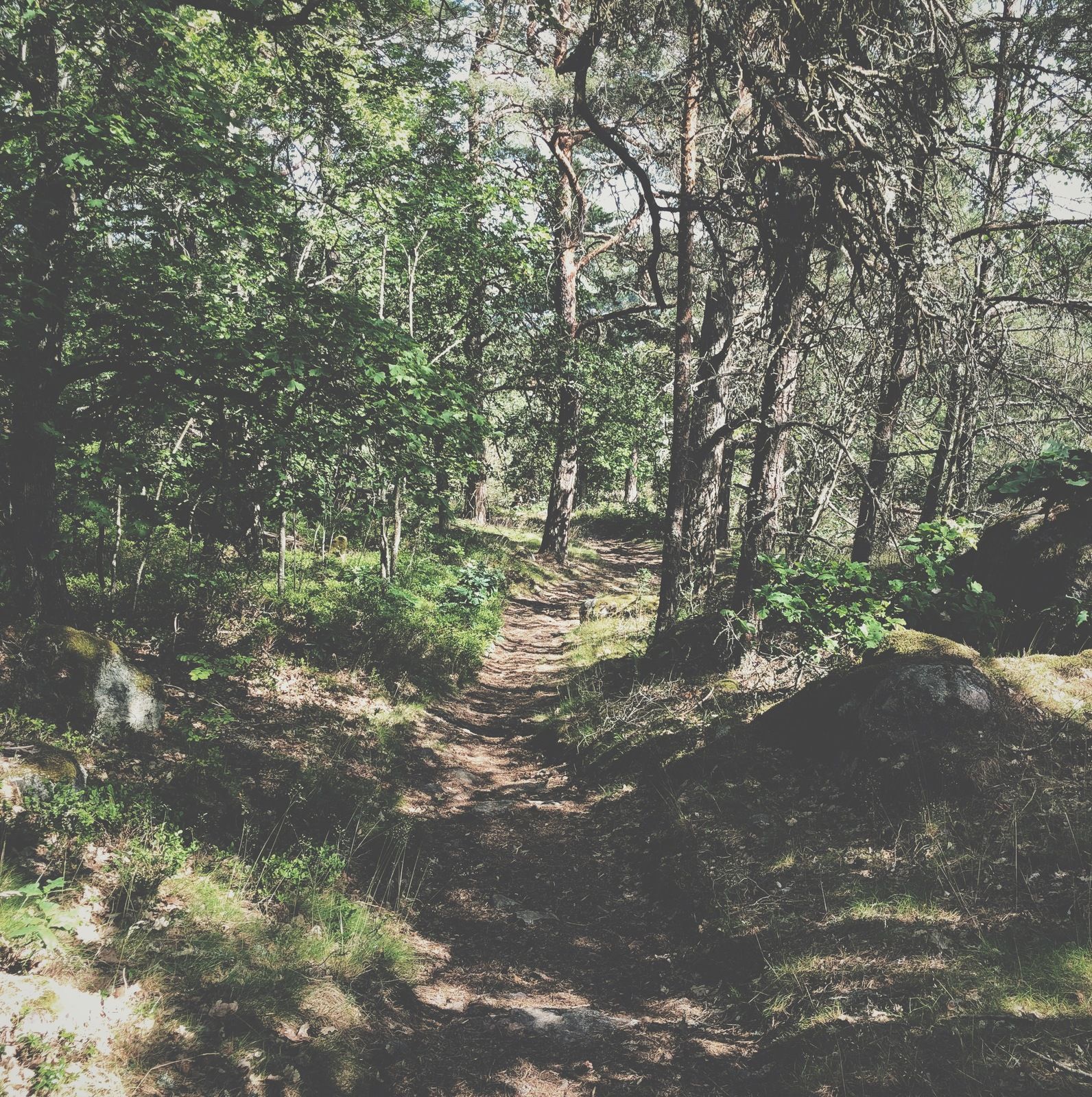 2019_06_28_Ramunderberget_3.JPG