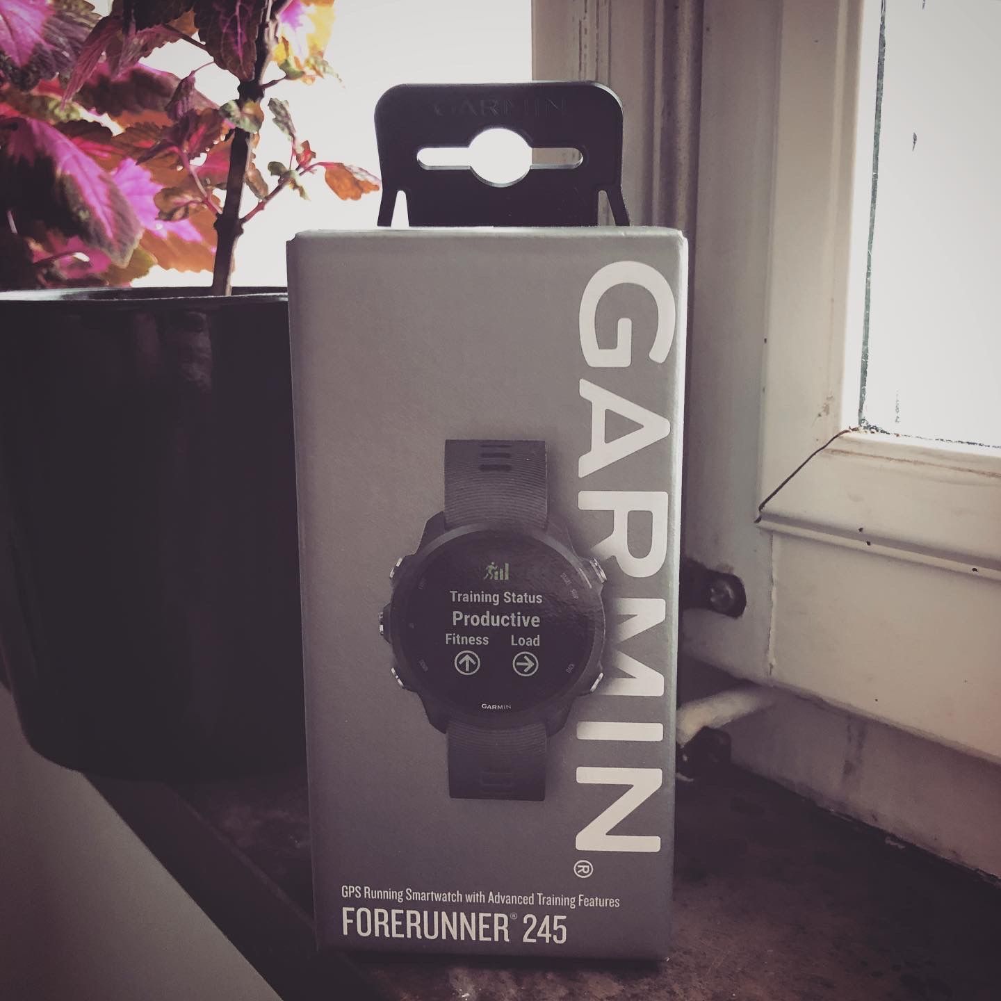 2020-02-17_Garmin_1.JPG