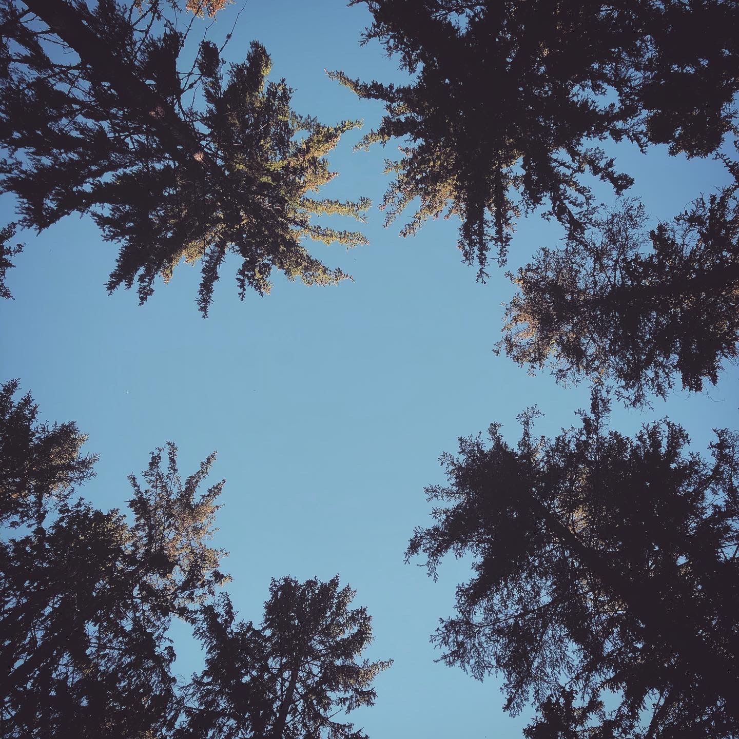 2020-03-14_1.JPG