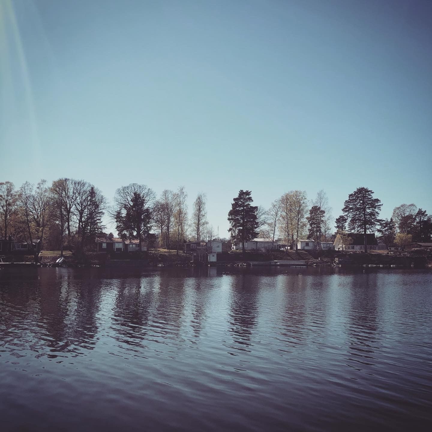 2020-04-21_2.JPG