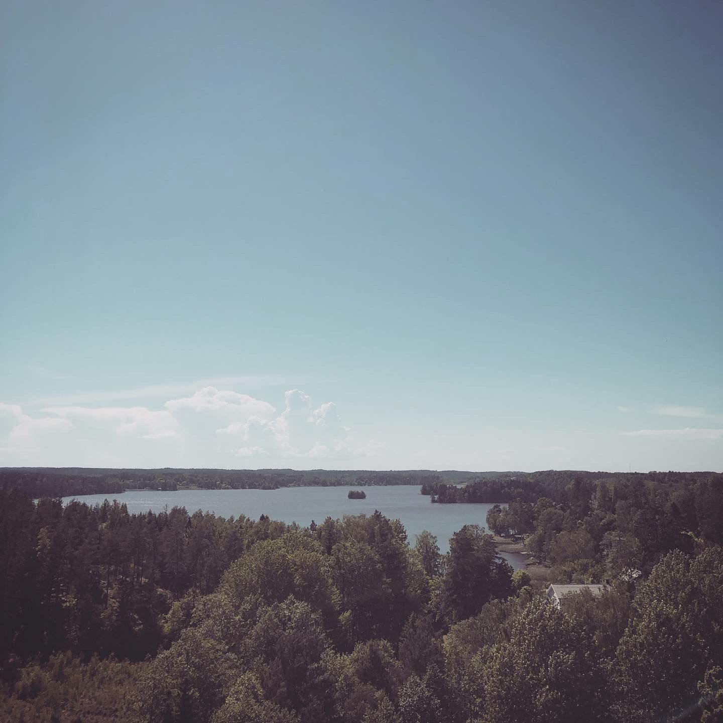 2020-06-02_3.JPG