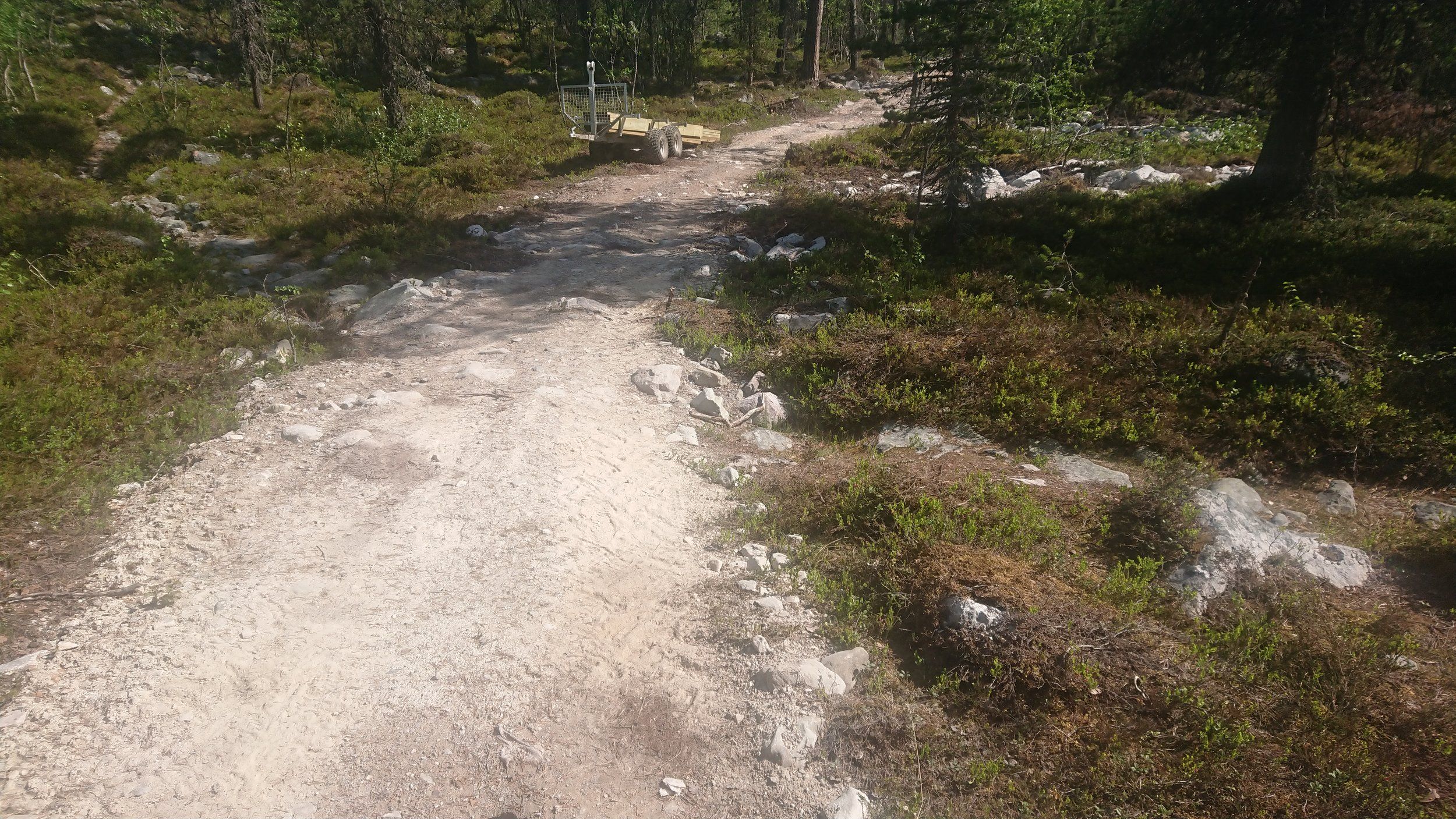2020-06-15 10.29.01.jpg
