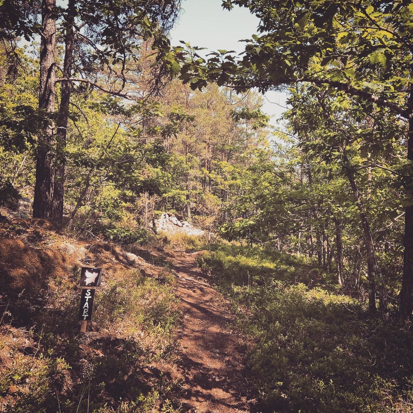 2020-06-24_2.JPG